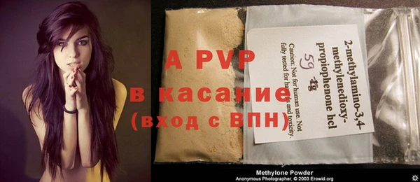 круглые Белокуриха